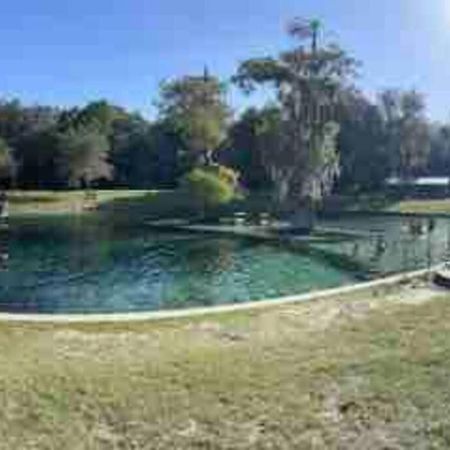 The Botanical Retreat, King Comfort & Poolside Peace Gainesville Exterior foto